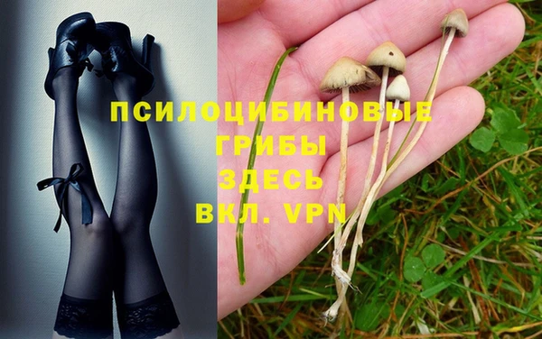 МДМА Алексеевка