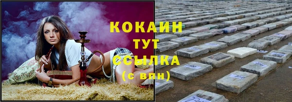 прущий лед Алзамай