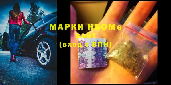 прущий лед Алзамай