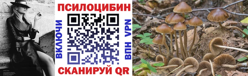 Галлюциногенные грибы MAGIC MUSHROOMS Аркадак